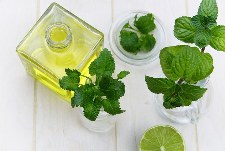 Les grands principes de la naturopathie
