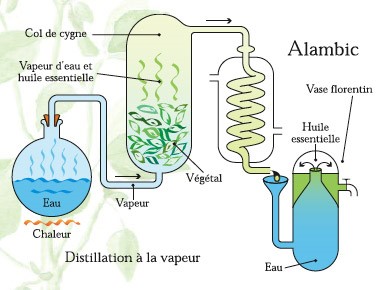 huiles essentielles schéma